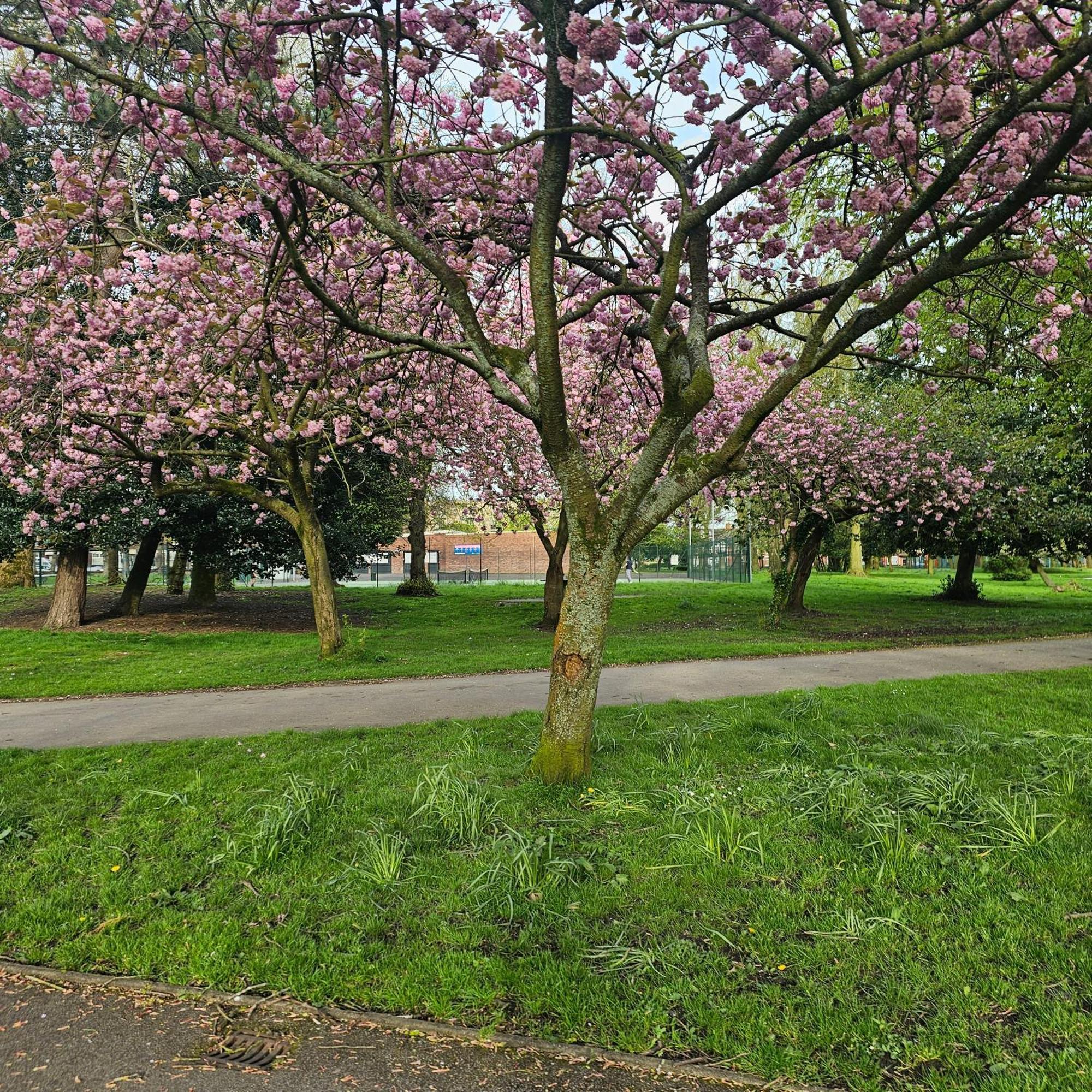 Shrewsbury 1 Salford (Greater Manchester) Exterior foto